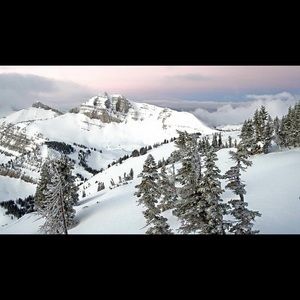 Meet your Posher, Jim